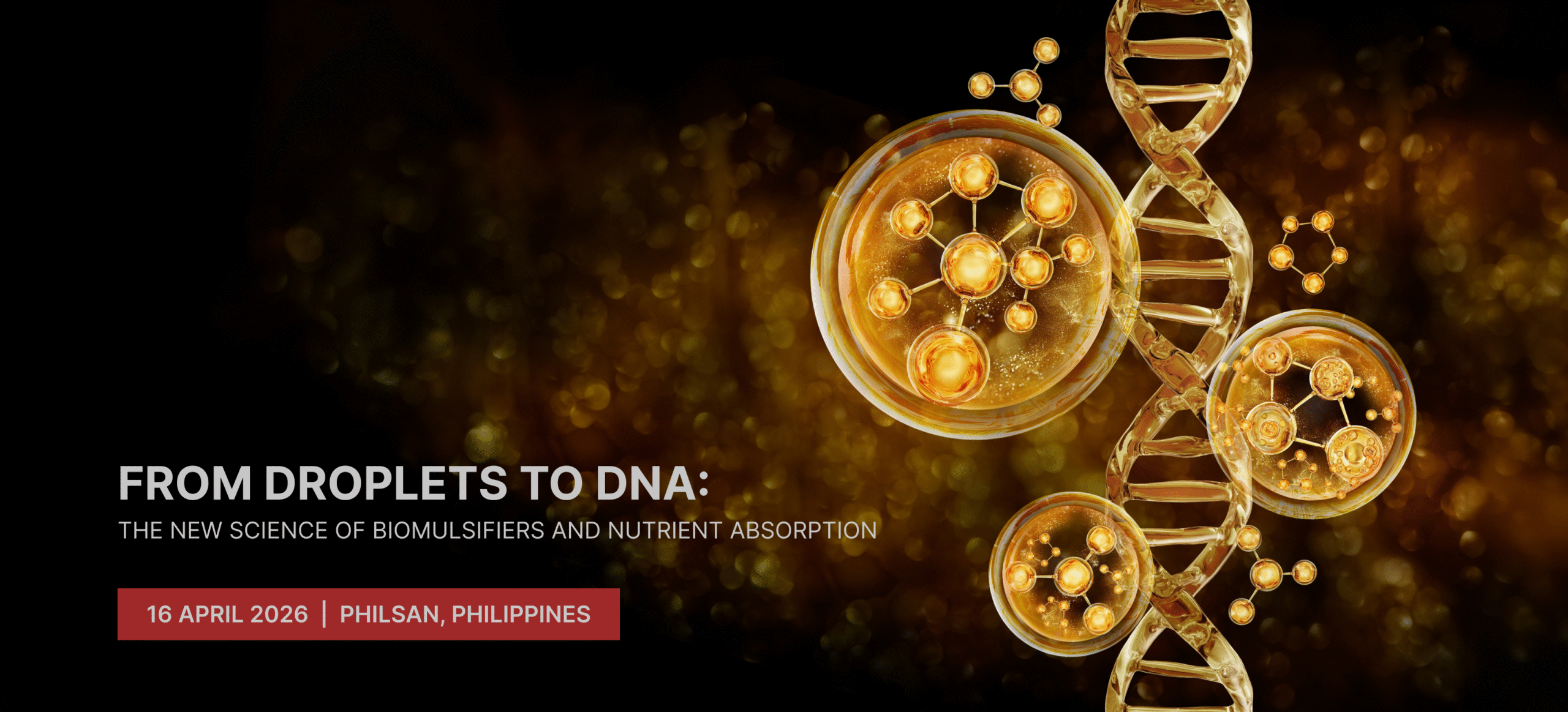 From Droplets to DNA