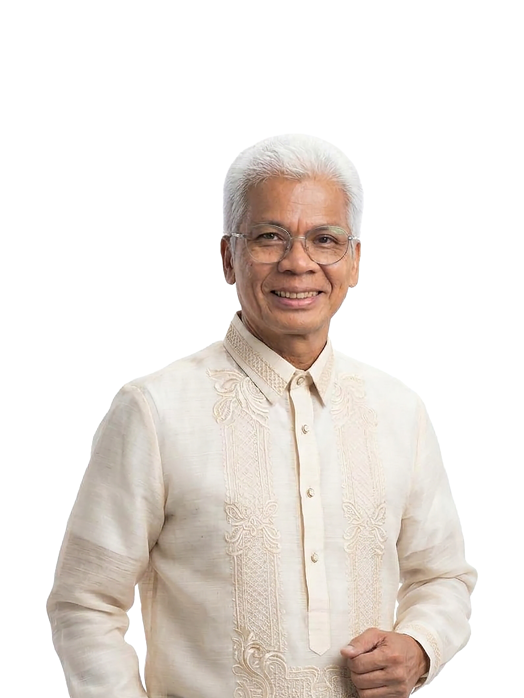 Mr. Arnel N. Del Barrio